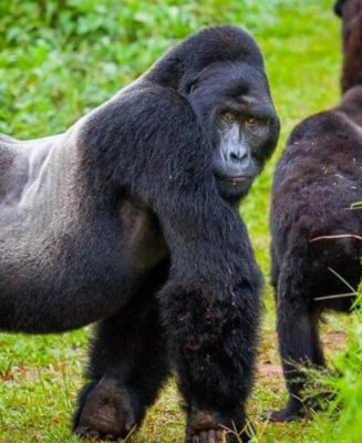 Rwanda